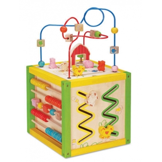 Reuzen Activiteitenkubus van EverEarth