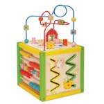 Reuzen Activiteitenkubus van EverEarth