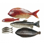 Vissen op ware grootte, speelset