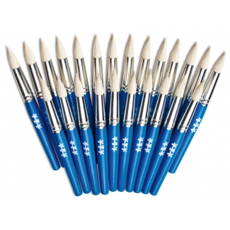   Universele penselen set voor de kinderopvang