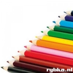   Kleurpotloden - lang