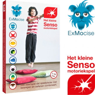  Het kleine senso motoriekspel van ExMocise