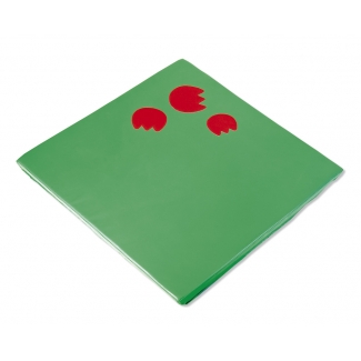  Grote kinderopvang speelmat - voorjaar