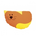 Kussen Kat