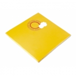  Grote kinderopvang speelmat - zomer