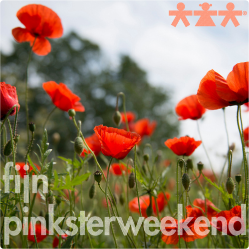 Pinksteren 2016